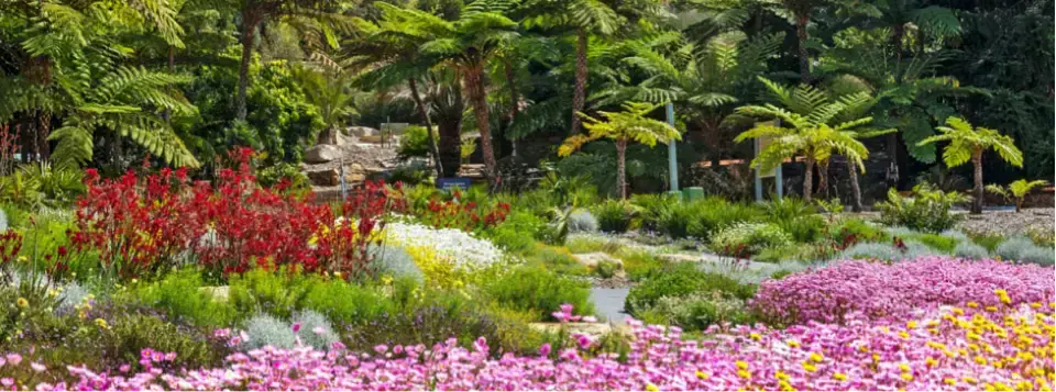 Australian Botanic Gardens at Mount Annan