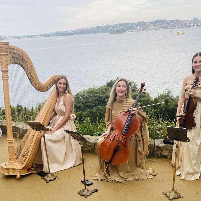 Fiona & James ~ June Wedding with stunning music for their Ceremony!