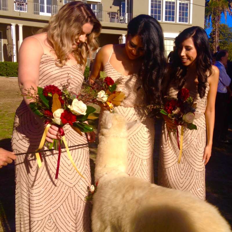 Mariamichaeldunbarbridesmaids.jpg