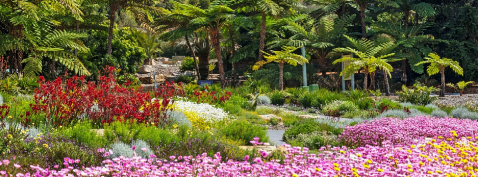 Australian Botanic Gardens at Mount Annan